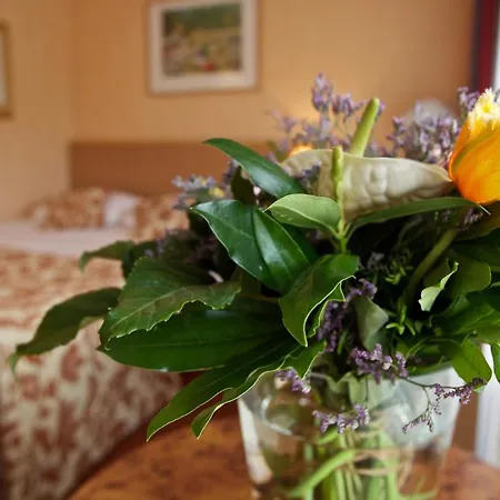 Hampshire Petit Nord 3*